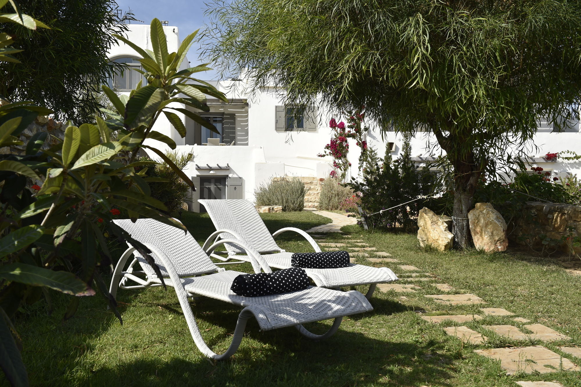 Naoussa Hills Boutique Resort- Adults Only Páros Zewnętrze zdjęcie