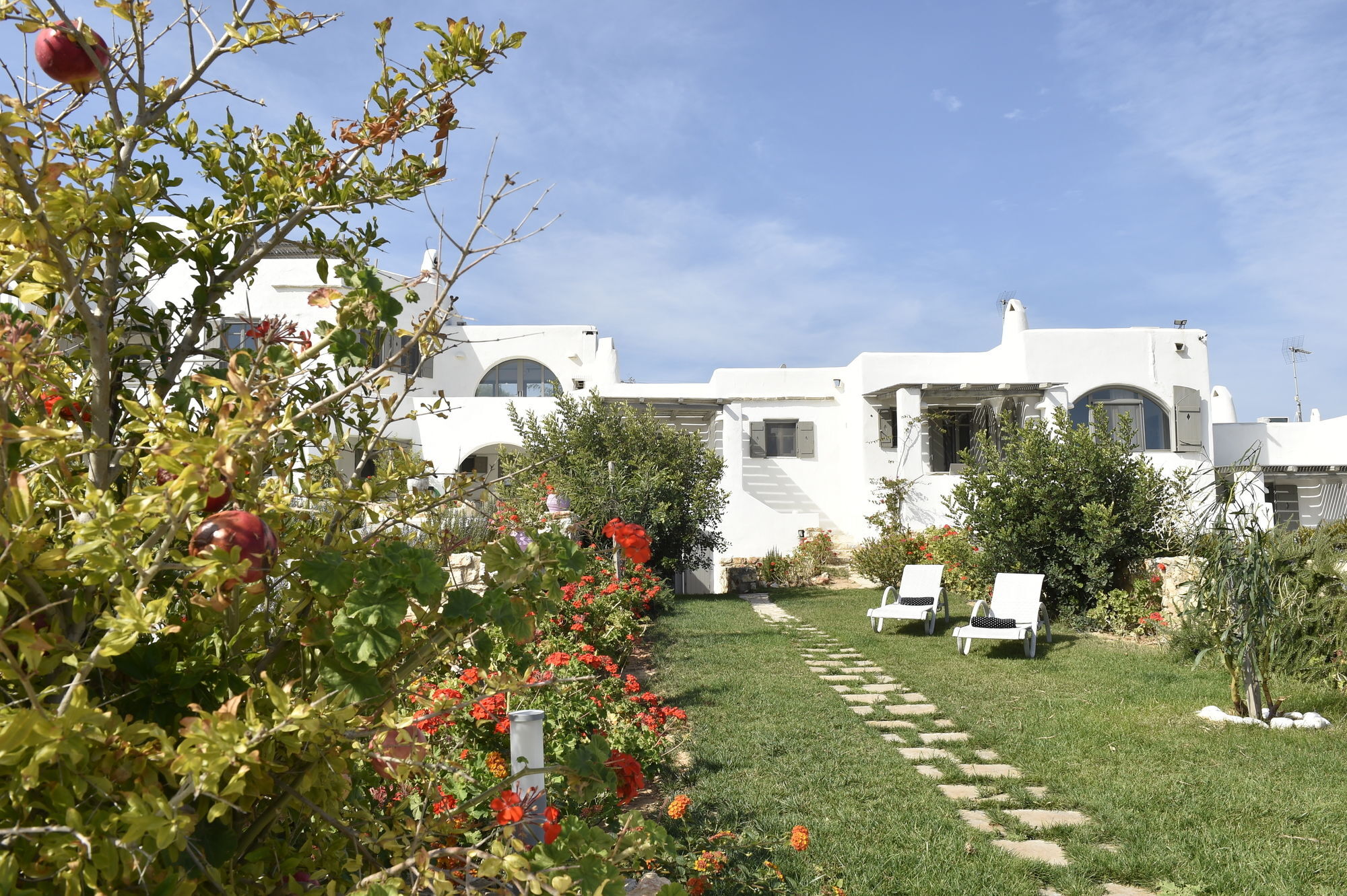 Naoussa Hills Boutique Resort- Adults Only Páros Zewnętrze zdjęcie