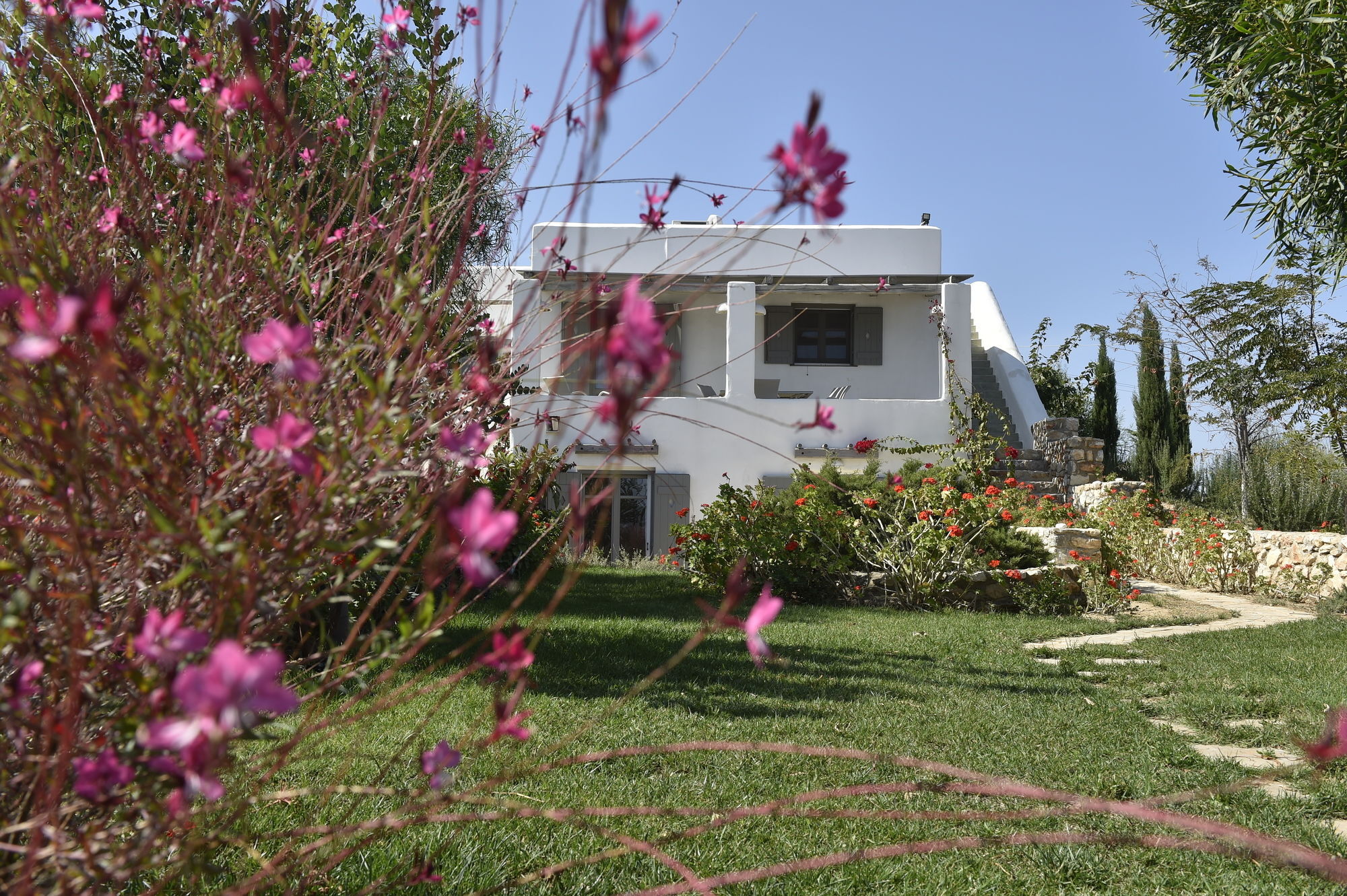 Naoussa Hills Boutique Resort- Adults Only Páros Zewnętrze zdjęcie